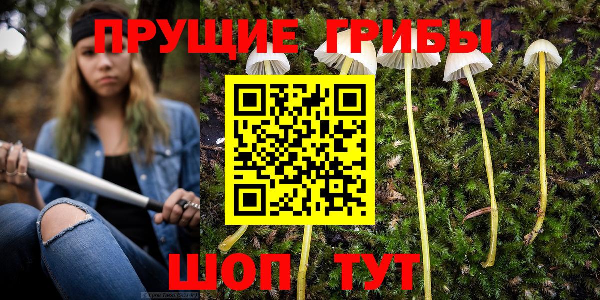Галлюциногенные грибы прущие грибы  Вход с VPN  Малоярославец 