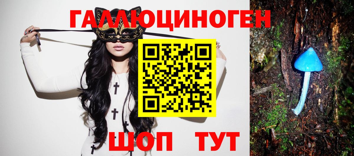 Псилоцибиновые грибы прущие грибы Малоярославец